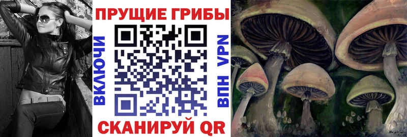 Псилоцибиновые грибы GOLDEN TEACHER  Комсомольск 